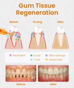 LOVILDS™ Gum Repair Treatment Ampoules