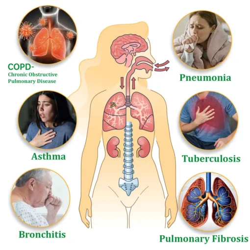 LOVILDS™ Natural Herbal Lung Detox Inhaler