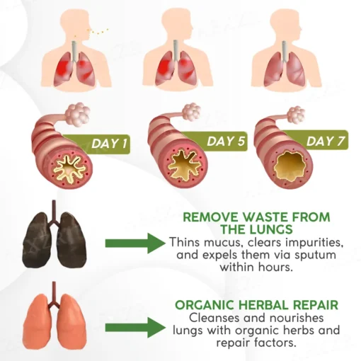 Lovilds™ Herbal Lung Cleanse Spray