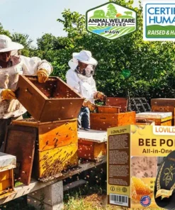 LOVILDS™ Bee Poison All-in-One Cream