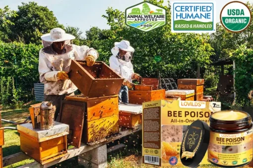 LOVILDS™ Bee Poison All-in-One Cream
