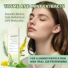 LOVILDS™ Mullein Relaxation Stick – Soothes Lungs, Detoxifies, Freshens Breath
