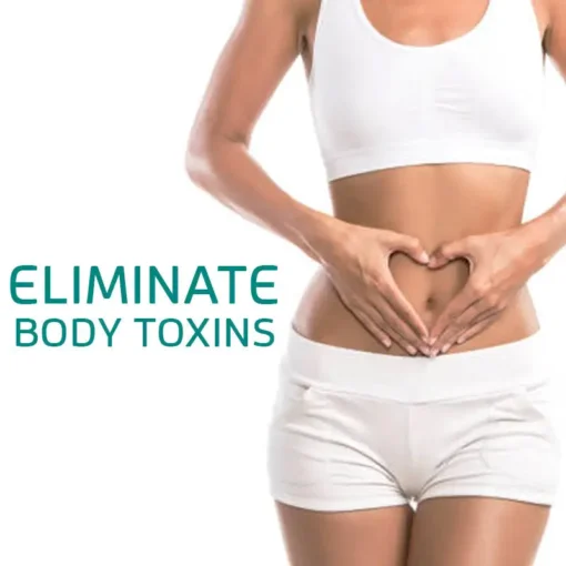 LOVILDS™ Natural Detox Slimming Foot Pads