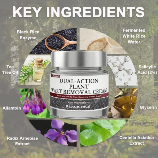 LOVILDS™ Black Rice Skin Repair Essence Cream