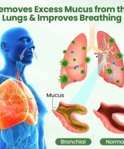 LOVILDS® LungPure Herbal Detox Inhaler