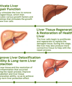 LOVILDS™ Vegan Liver Cleaning Nasal Herbal Box