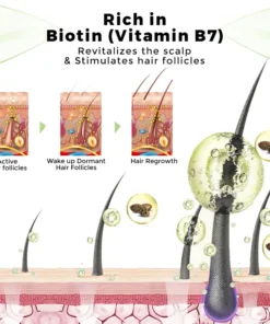 LOVILDS® Hair Regrowth System For Hair Growth & Eyebrow Nourishment