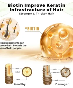 LOVILDS® Hair Regrowth System For Hair Growth & Eyebrow Nourishment