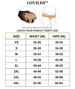 LOVILDS™ Leak-Proof Confidence Briefs – 4-Layer Absorbency for All-Day Dryness