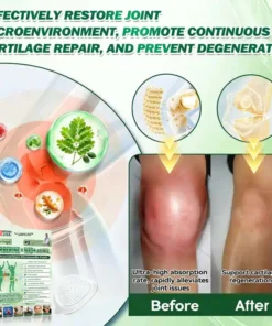 LOVILDSโข Moringa ยท Berberine ร NAD+ ๐๐-๐ข๐ง-๐ ๐๐๐ฏ๐๐ง๐๐๐ ๐๐๐ง๐จ ๐๐ข๐๐ซ๐จ๐ง๐๐๐๐ฅ๐ ๐๐๐ญ๐๐ก