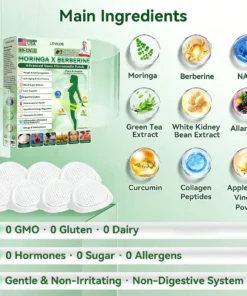 LOVILDS™ Moringa & Berberine 10-IN-1 Advanced Nano Microneedle Patch