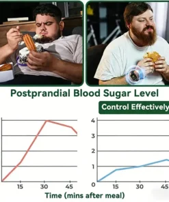 LOVILDS™ Moringa & Berberine 10-IN-1 Advanced Nano Microneedle Patch