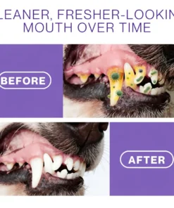 LOVILDS® Pet Oral Spray