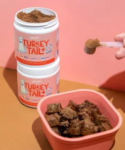 LOVILDS™ Turkey Tail Mushroom + Probiotic Formula