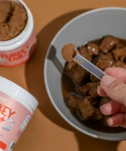 LOVILDS™ Turkey Tail Mushroom + Probiotic Formula