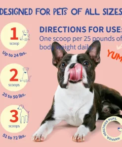 LOVILDS™ Turkey Tail Mushroom + Probiotic Formula