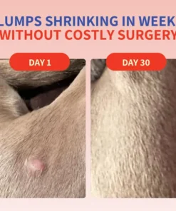 LOVILDS™ Turkey Tail Mushroom + Probiotic Formula