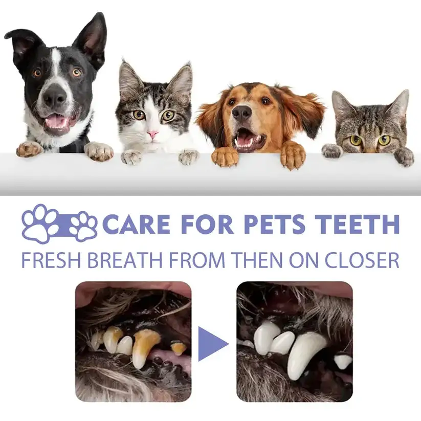LOVILDS™ NO BRUSHING oral care spray for dogs cats