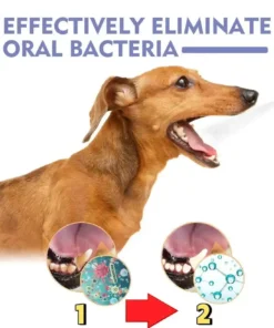 LOVILDS™ NO BRUSHING oral care spray for dogs cats