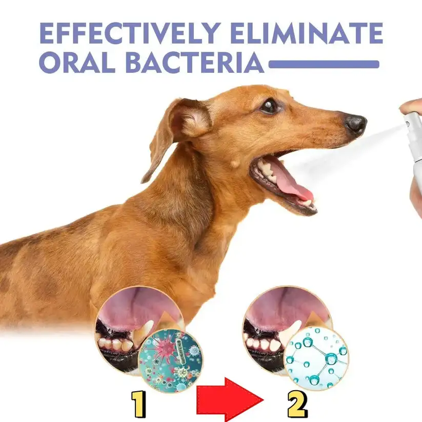 LOVILDS™ NO BRUSHING oral care spray for dogs cats