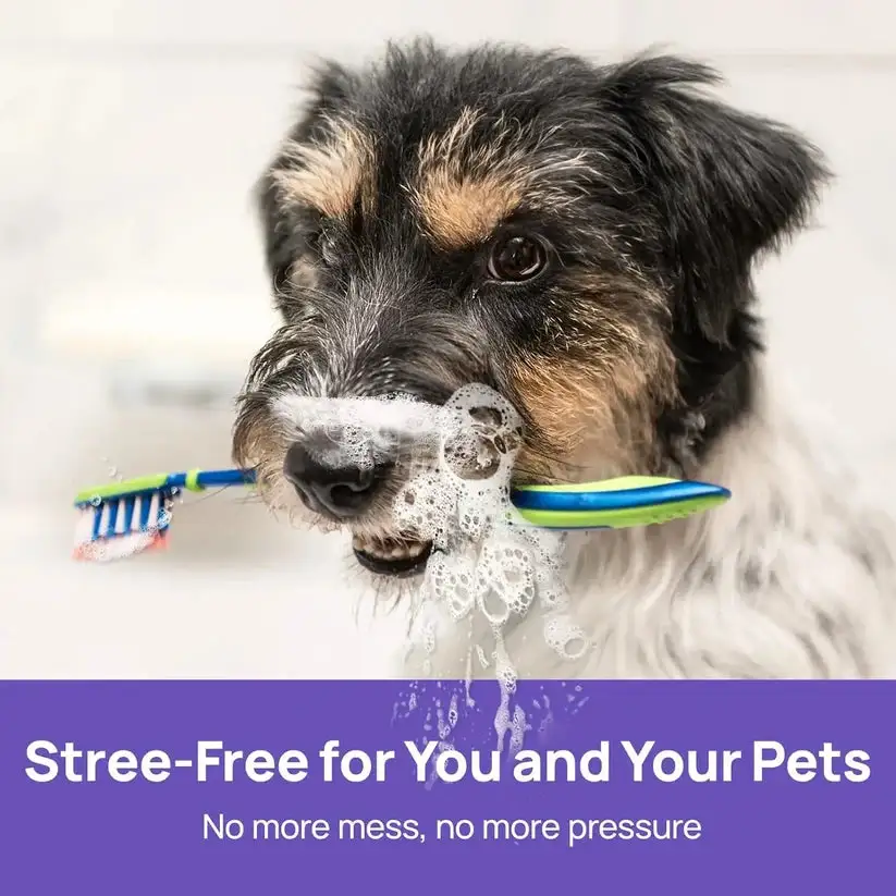 LOVILDS™ NO BRUSHING oral care spray for dogs cats
