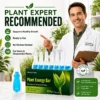 LOVILDS® Plant Energy Bar