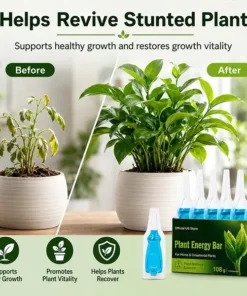 LOVILDS® Plant Energy Bar
